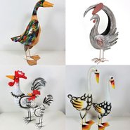 Kippen, Hanen en eenden