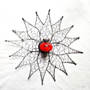 Wanddeco Wired Web Beetle