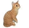 Fiber cat model 1