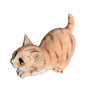 Fiber cat model 3