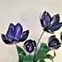 Wanddeco Tulip 3D "Purple" _