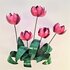 Wanddeco Tulip 3D "Pink" _